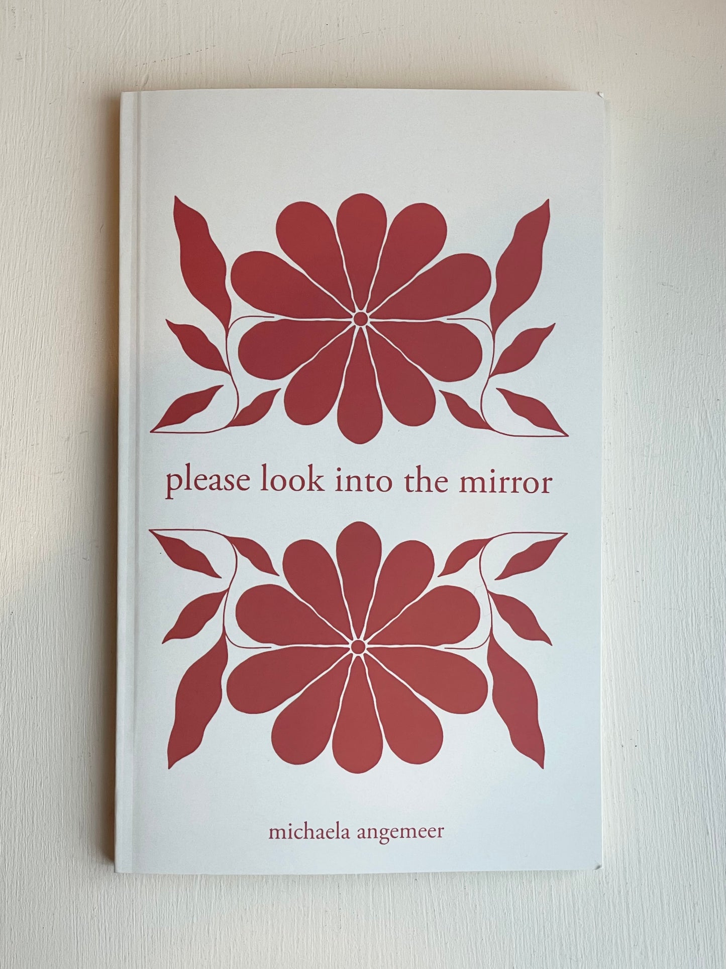 Please Look Into the Mirror Book