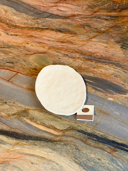 Seashell Ceramic Dish by Alicia Sanchez Pottery